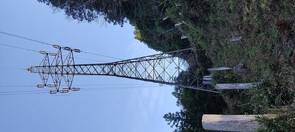1784703355351