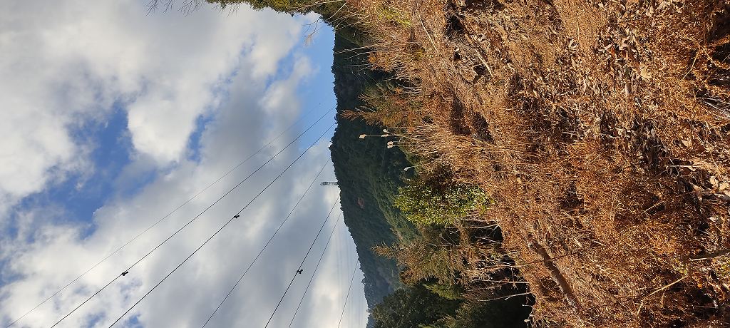 IMG 20250108 092802
