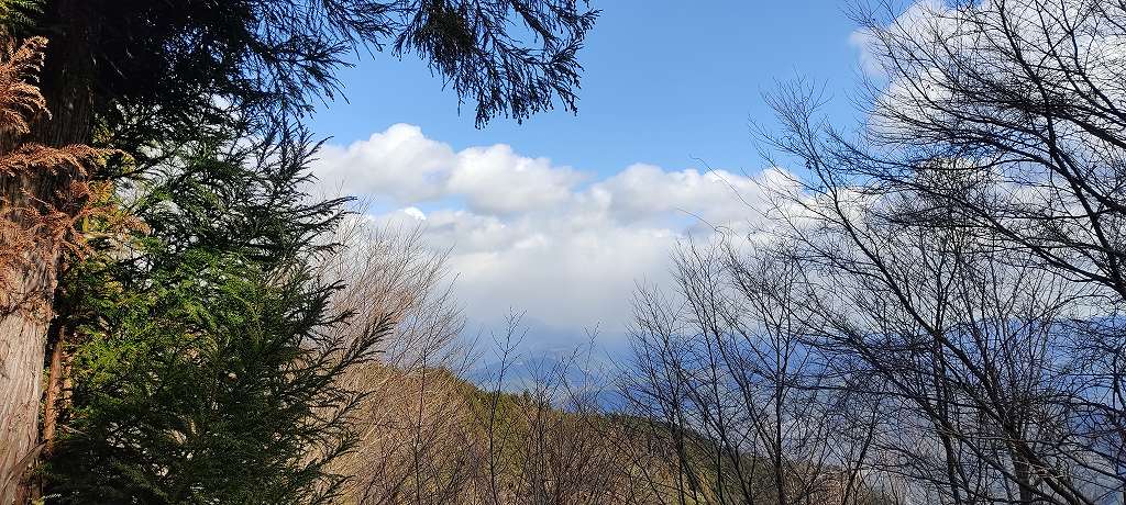IMG 20250108 121707