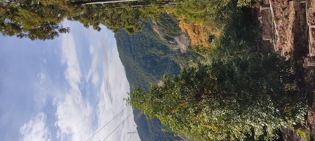 IMG 20251211 121752