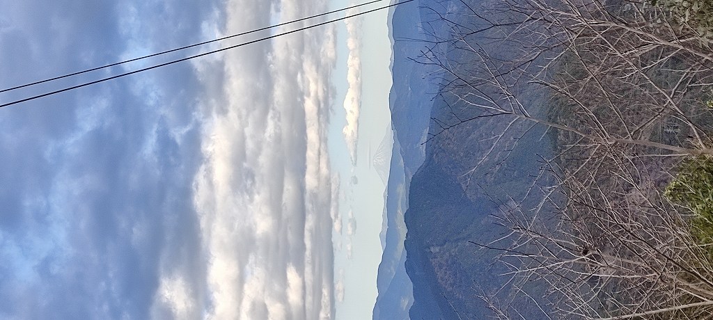 IMG 20251211 142602