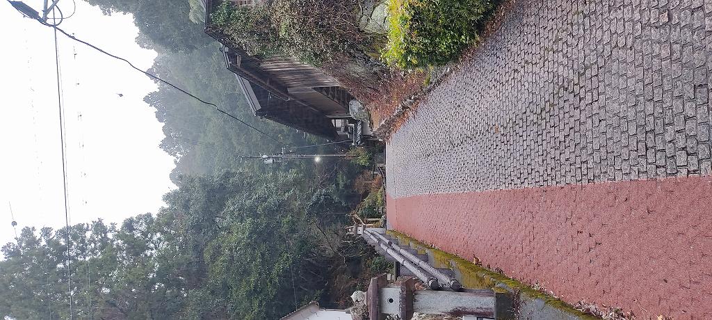 IMG 20251224 092920