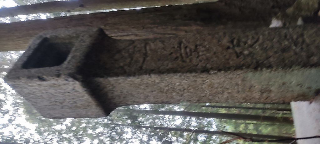 IMG 20251224 100135