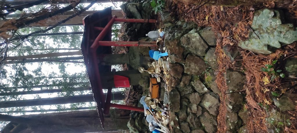 IMG 20251224 103715