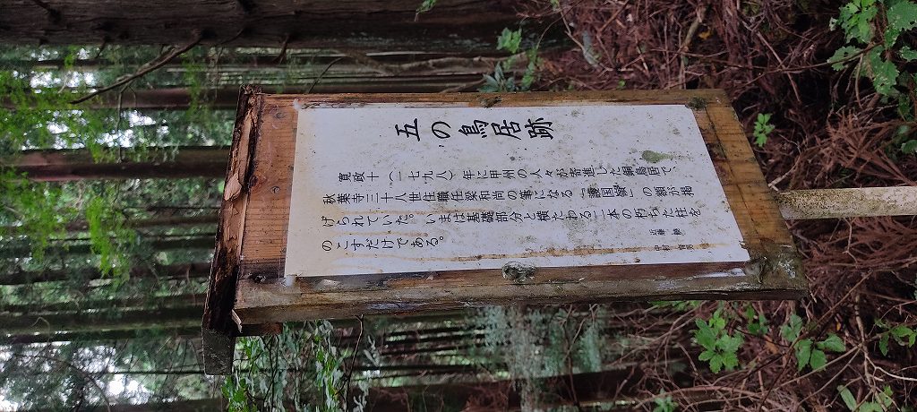 IMG 20260810 105635