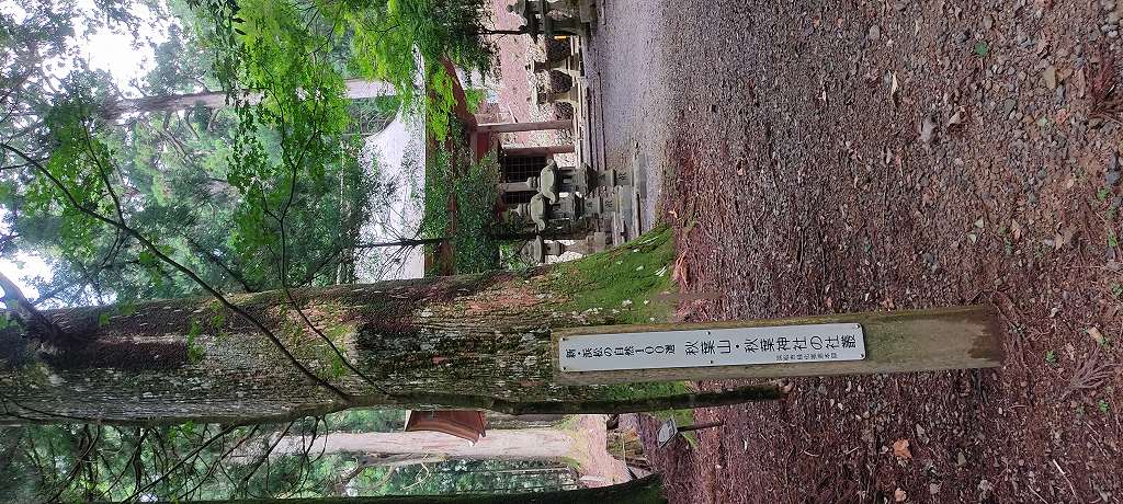 IMG 20260810 110403
