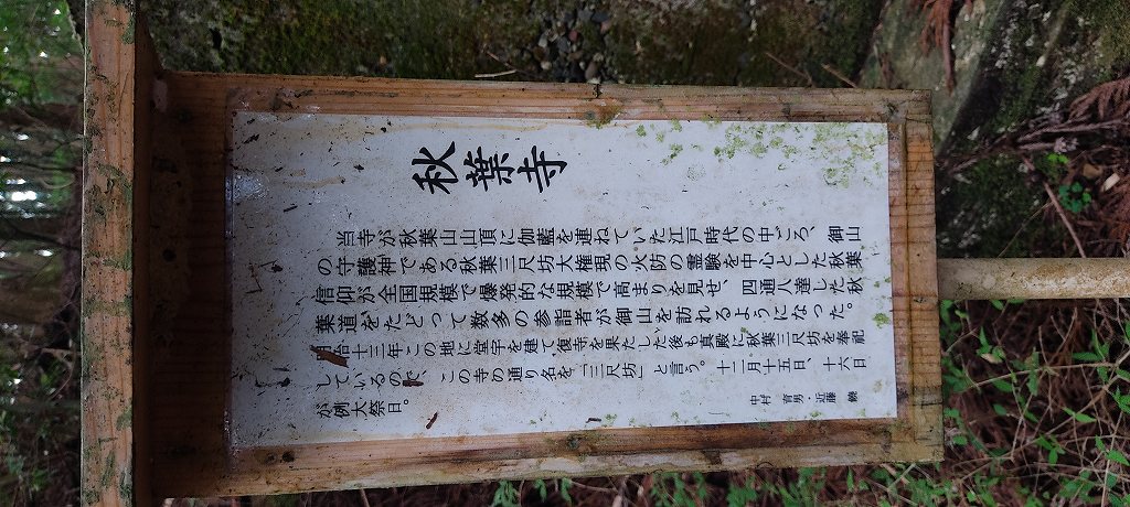 IMG 20260810 114601