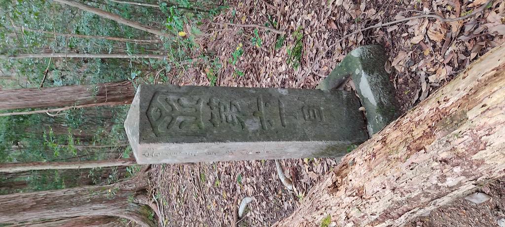 IMG 20251112 122000