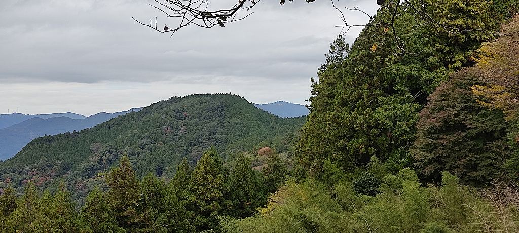 IMG 20251112 131300