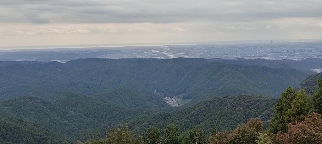 IMG 20251112 132350