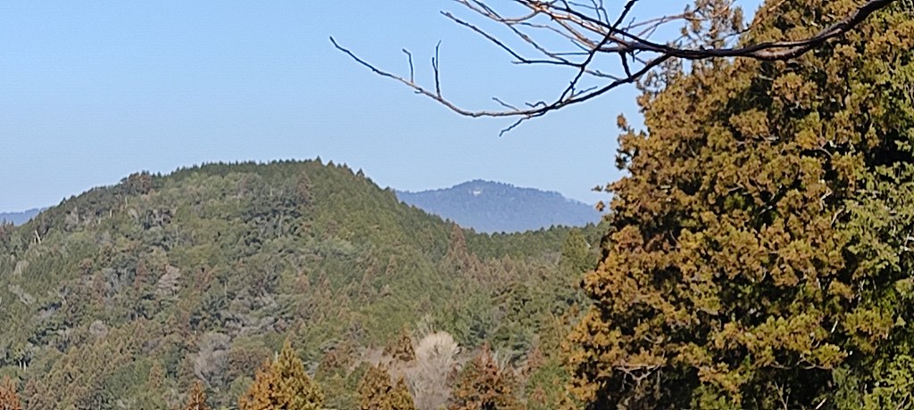 IMG 20260116 120459