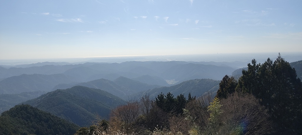 IMG 20260116 120957