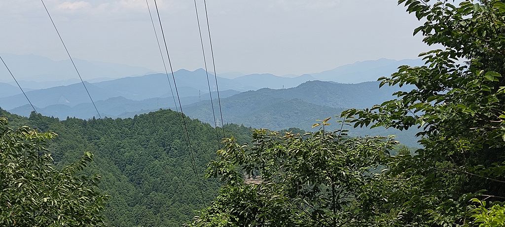IMG 20260714 124218