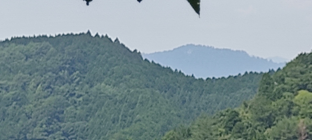 IMG 20260714 130046