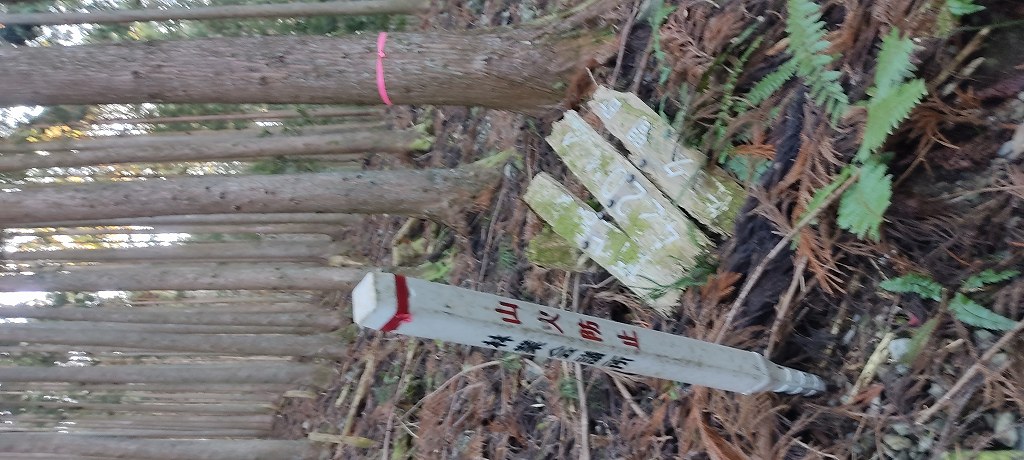 IMG 20251218 100913