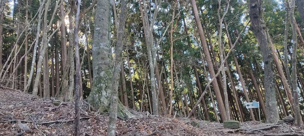 IMG 20251218 115228