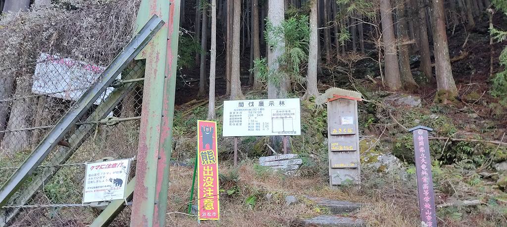 IMG 20251216 092216