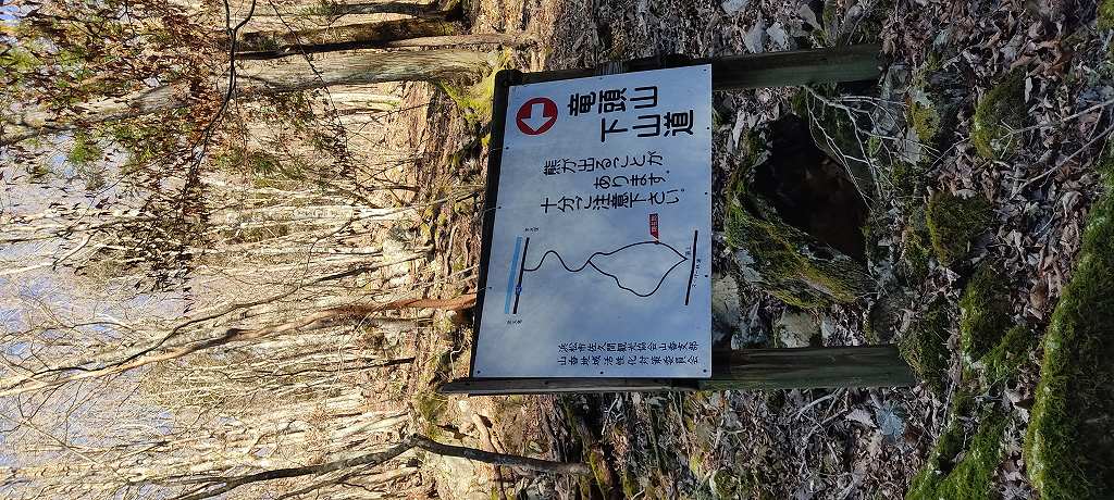IMG 20251216 114454